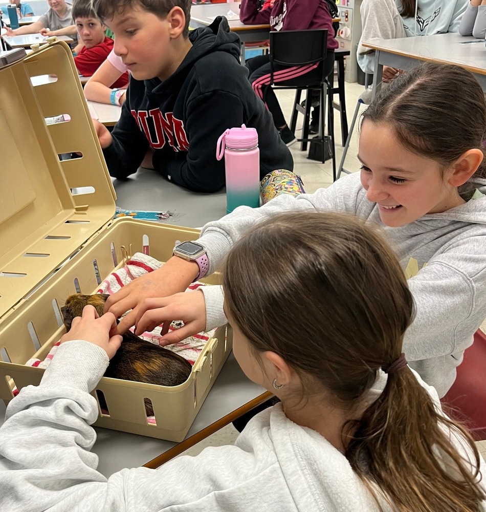 666925484 1471506288099615 4651538953006902385 n