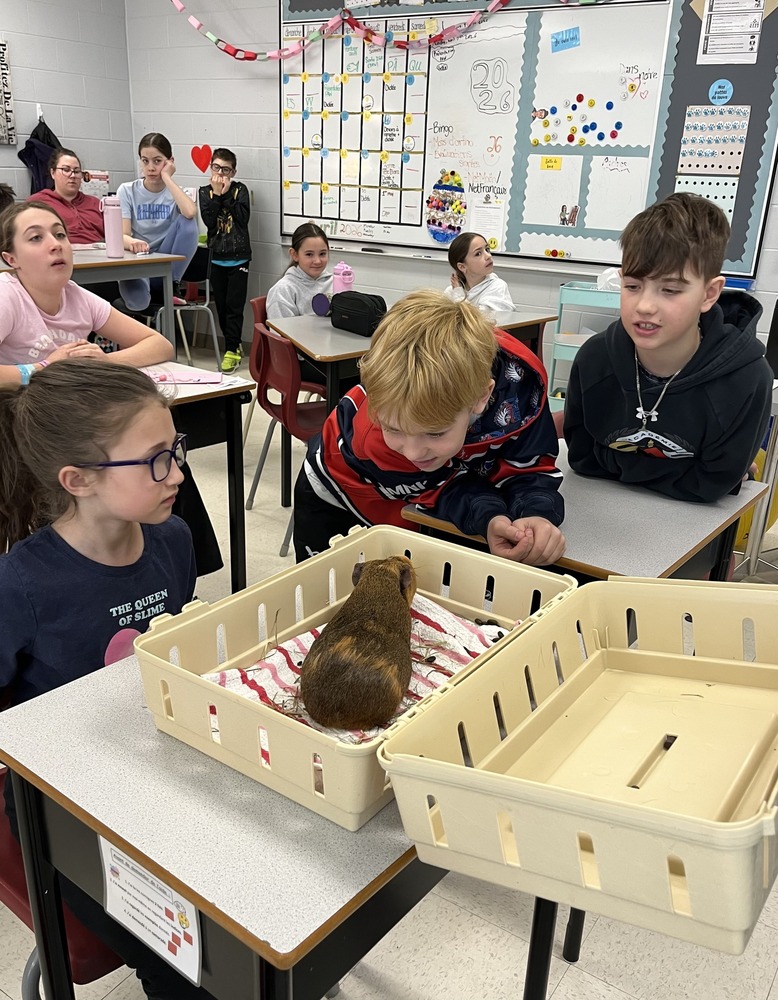 667762902 1471491614767749 4610395159504349079 n