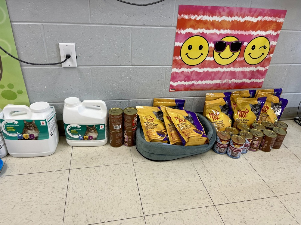 668117023 1471491724767738 631085287105859283 n