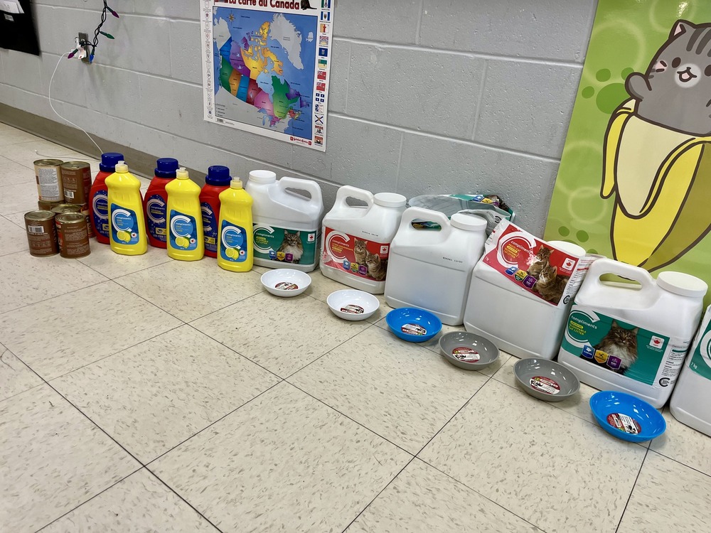 668674576 1471491761434401 3640852783839965275 n