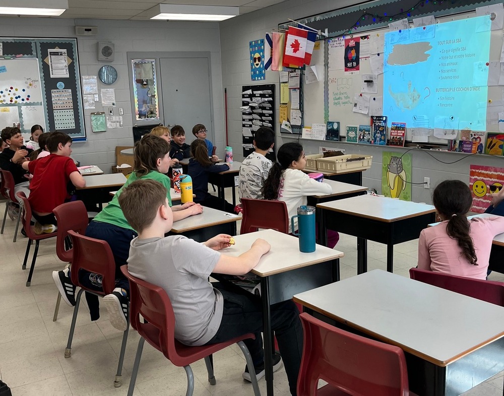 668717782 1471505134766397 5478142353631081646 n