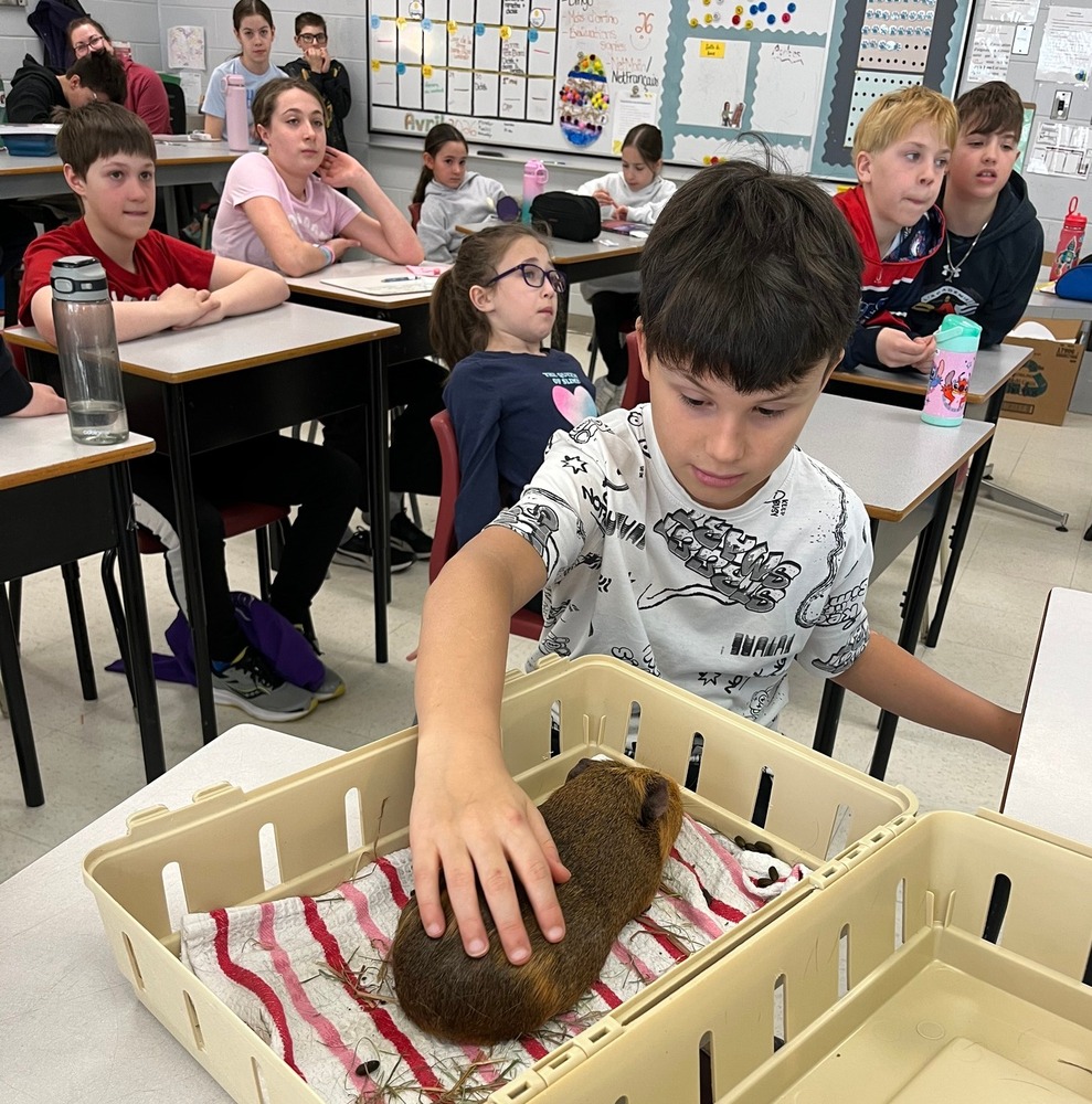 668822569 1471505911432986 5128069853364825022 n